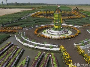 Wisata Sambil Belajar di Taman Pembibitan Jombang yang Eksotis
