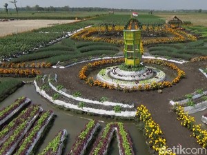 Wisata Sambil Belajar di Taman Pembibitan Jombang yang Eksotis