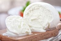 Ini Sebabnya Keju Mozzarella dari Susu Kerbau Rasanya Lebih Gurih Lembut