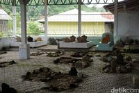 Kompleks Pemakaman Keluarga Sultan Bacan (Wahyu/detikTravel)