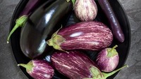 Terong kaya akan antioksidan yang disebut antosianin. Fungsinya untuk membantu mengembalikan daya ingat. Minh-Hai Tran, seorang ahli diet, merekomendasikan terong sebagai sayuran yang sehat untuk otak. Lebih baik dikonsumsi bersama kulitnya.