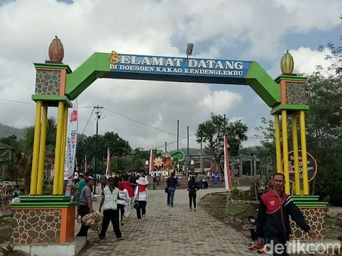 Asyik Ada Kebun Cokelat Yang Lagi Hits Di Banyuwangi