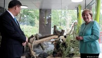 Panda menggemaskan Meng-Meng dan Jiao Qing mendarat di bandara Schoenefeld Berlin.