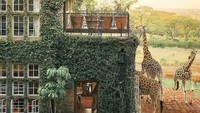 Di sudut restorannya, traveler jangan heran jika saat sedang makan, ada satu atau dua ekor jerapah yang menghampiri mengajak bermain bersama. Gemas! (Instagram/influencenow)