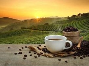Pencinta Kopi? Yuk, Datang ke Malang Coffee Festival 2017