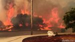 Penampakan Dahsyatnya Kobaran Api yang Melahap Hutan di California