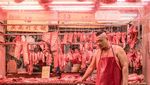 Fotografer Ini Abadikan Kucing yang Berkeliaran di Sekitar Pasar di Hong Kong