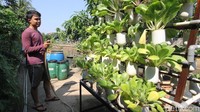 Hasil pertanian masih dikonsumsi oleh warga setempat.