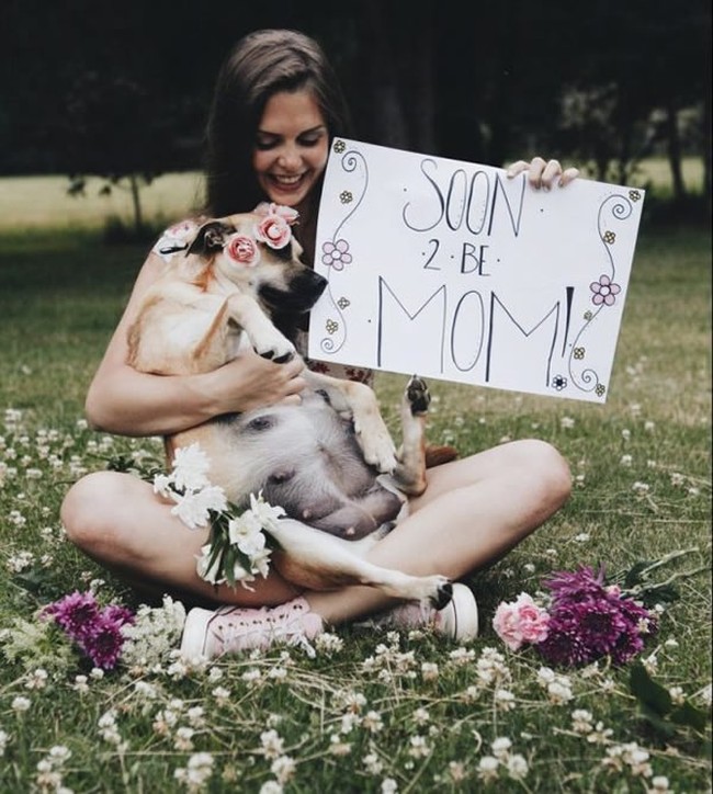 Kali ini bukan foto kehamilan manusia tapi anjing. Pemilik anjing yang diketahui bernama Fusee ingin mengabadikan momen di mana anjingnya sedang bunting. Foto: Ist.