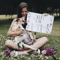 Kali ini bukan foto kehamilan manusia tapi anjing. Pemilik anjing yang diketahui bernama Fusee ingin mengabadikan momen di mana anjingnya sedang bunting. Foto: Ist.