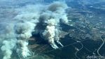 Penampakan Dahsyatnya Kobaran Api yang Melahap Hutan di California