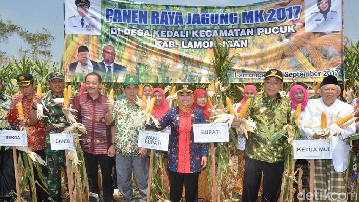 Hadiri Panen Raya di Lamongan, Ketua MUI Dukung Pemberdayaan Umat