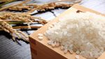 Benar Nggak Sih, 7 Makanan Ini Selalu Dibawa Orang Indonesia Saat ke Luar Negeri?
