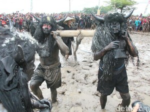 Ritual Adat Kebo-keboan di Banyuwangi Dibanjiri Penonton