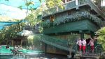 Serunya Makan Sambil Bermain Air Terjun di Resto Ini!
