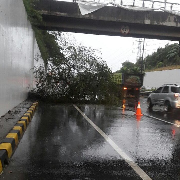 Hujan Deras, Pohon Tumbang di Tol JORR arah Cikunir