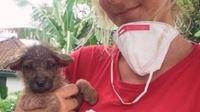 Kelompok non profit Australia, Pusat Rehabilitasi Adopsi Anjing Bali atau BARC telah bergabung dengan tim amal hewan lainnya, termasuk Hewan Hewan Indonesia (Bali Dog Adoption Rehabilitation Centre/Facebook)