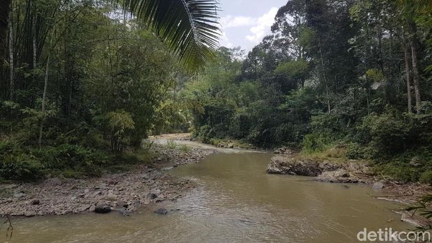 Alam dijaga dengan baik di Baduy (Bahtiar/detikTravel)