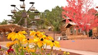 Bernama The Glenwood Caverns Adventure Park, wahananya mencakup wisata gua, permainan ekstrem, aktivitas anak-anak, acara spesial, dan banyak lagi. Terletak di puncak jantung Pegunungan Rocky (Dok. Glenwood Caverns Adventure Park/Facebook)