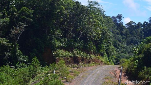  Jalan Perbatasan Gencar Dibangun, Ini Manfaatnya.
