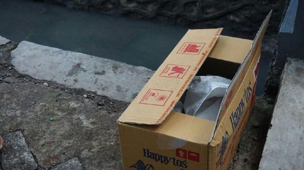 Bayi lalu disimpan di sebuah kardus. Tampak masyarakat sekitar berkumpul di lokasi usai penemuan bayi tersebut.