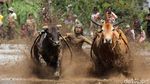 Foto: Musim Panen Paling Berwarna di Dunia