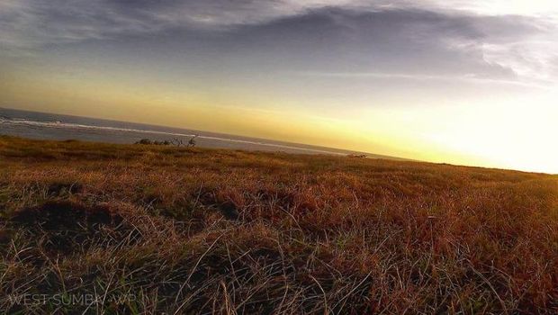 Savana Sumba
