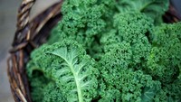 Seperti brokoli, kale juga merupakan anggota dari keluarga crucifer. Di samping itu, superfood ini juga kaya akan karotenoid yang membentuk vitamin A untuk memperbaiki gejala alergi. Sejumlah penelitian telah menunjukkan bahwa orang dengan persediaan vitamin A, cenderung rendah memiliki masalah asma dan alergi. Foto: Thinkstock