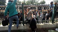 Ayo pak, kamu bisa.