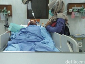Pasutri yang Diserang Beruang di Riau Sedang Menyadap Karet