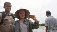 Usai menangkap kepiting, para bule ini selanjutnya diajak untuk menikmati mie kepiting yang dimasak di Kantor Geuchik Gampong Pande. Total ada 35 peserta dari berbagai negara yang ikut tur menangkap kepiting ini. Wah, seru juga ya sepertinya! (Agus Setyadi/detikTravel)