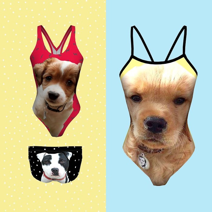 Baju Renang Bergambar Binatang Peliharaan, Gemas!