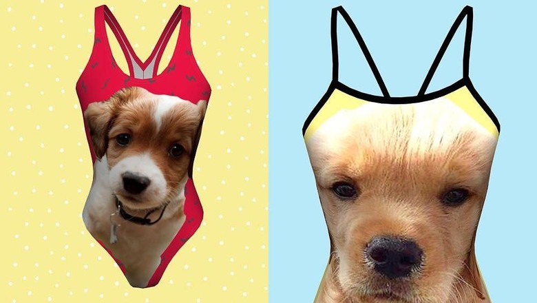 Baju renang bergambar wajah hewan peliharaan kesayangan (petflair/Instagram) Baju renang bergambar wajah hewan peliharaan kesayangan (petflair/Instagram)
