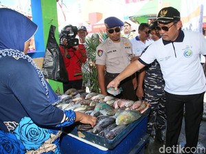 Banyuwangi Gelar Fish Market Festival Dorong Produktivitas Nelayan