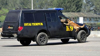 Tim K9 Taipur Kostrad Demo Pembebasan Tawanan