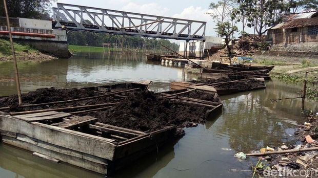 Bergelut dengan Gambut, Rezeki dari Dasar Rawa Pening