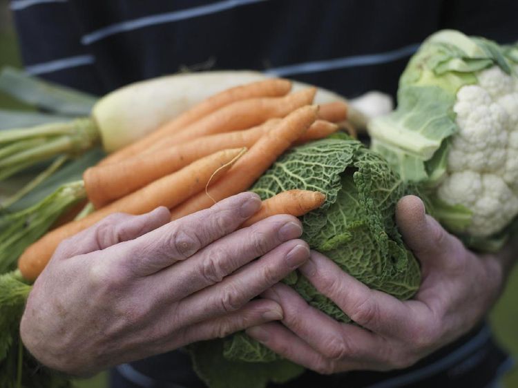 Ini Daftar Sayuran Bergizi yang Perlu Disertakan dalam Diet Anda