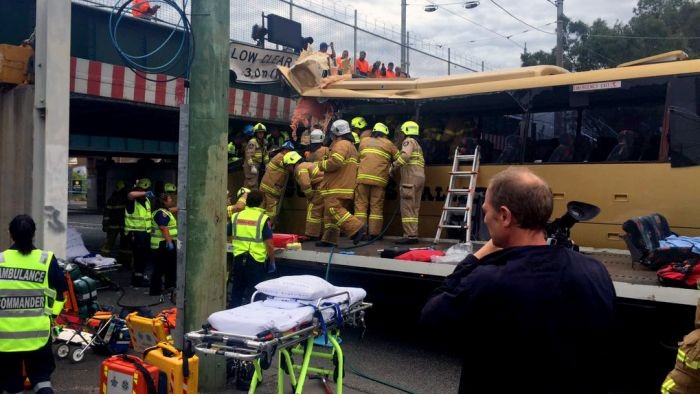 Perusahaan Bus Didakwa karena Menabrak Jembatan
