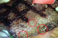 Rayakan Hari Jadian dengan Makan Steak, Pasangan Ini Temukan Belatung di Dalam Daging