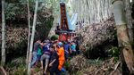 Melihat Manene, Ritual Mengganti Kain Jenazah di Toraja
