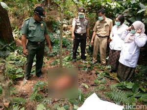 Tragis, Mayat Perempuan Ini Ditemukan Warga Sedang Dimakan Anjing