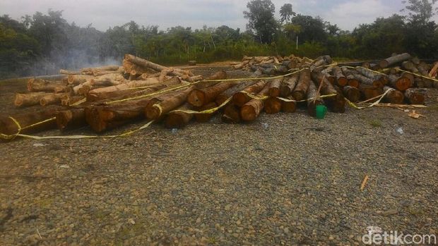 Polisi Sita 11 Kubik Kayu Ilegal di Aceh