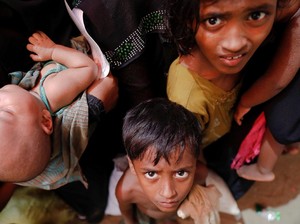 Gajah Liar Tewaskan 4 Orang Rohingya di Pengungsian Bangladesh