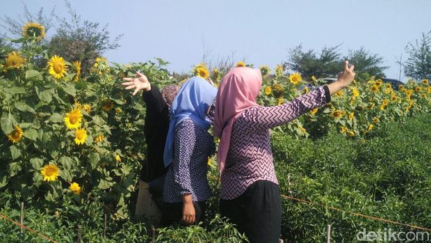 4 Taman Bunga di Yogya dan Semarang yang Mirip di Luar Negeri