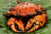 Siang Ini Makan Kepiting Enak di 5 Tempat Ini, Yuk!