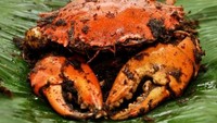 Melewati Lebak Bulus? Mampir ke Kepiting Asap Cendrawasih, ada banyak ragam sajian kepiting super enak. Yuk, mampir! Foto: Istimewa