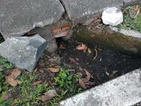 Di Trotoar Dago Ini Turis Belanda Terperosok hingga Patah Kaki