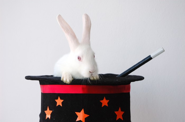 Rabbit On Magicians Hat With Magicians Wand