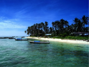 Berau Punya Spot Diving Unggulan