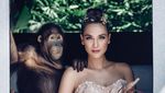 Laudya Cynthia Bella Gelar Resepsi, Ada Jokowi Nonton Synchronize Fest